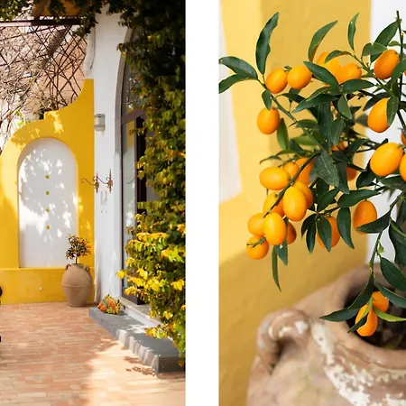 Cocles A Magical Honeymoon * Positano