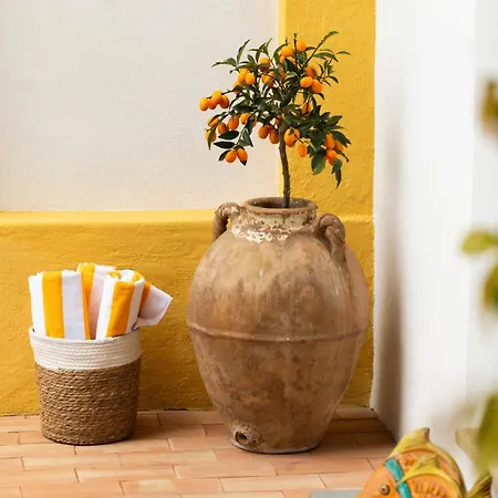 Cocles - Positano